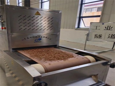 全自動(dòng)黑水虻微波烘干設(shè)備 活體蟲子干燥膨化機(jī)