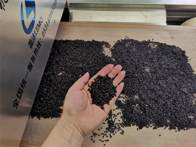 黑米微波熟化設備為黑米加工行業(yè)開辟了新的途徑