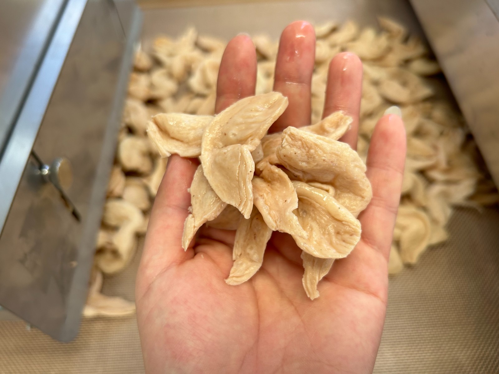 你知道微波隧道爐對(duì)豆制品進(jìn)行連續(xù)烘干的作用原理嗎？