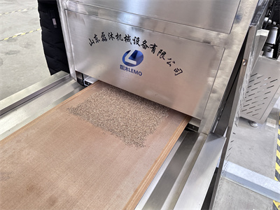 孜然微波烘干設(shè)備加工調(diào)味料效果到底如何呢