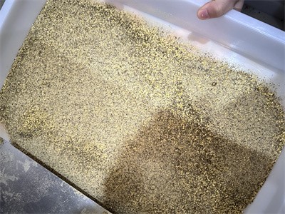 雜糧粉、代餐粉利用微波設(shè)備進行干燥殺菌過程