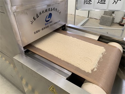 簡述關(guān)于芝麻烤熟 微波設(shè)備和熱風(fēng)烘烤的區(qū)別