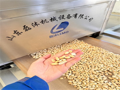 從多個(gè)維度詳細(xì)分析隧道式花生米微波烘烤設(shè)備的優(yōu)勢(shì)
